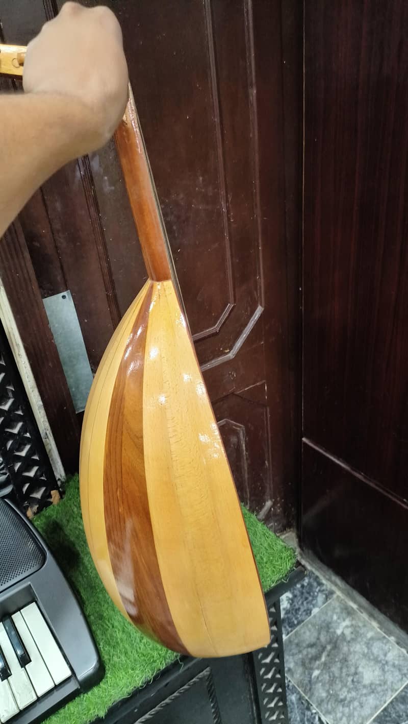 Professional Arabic Oud 2