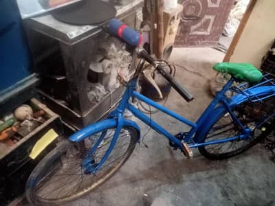 imported japani model