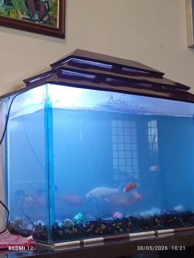 aquarium & Fish - Complete package