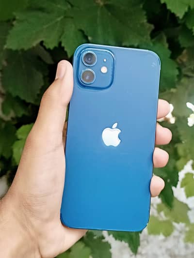 Apple iPhone 12