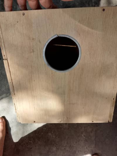 cocktel  cage