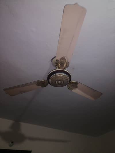 celling fan