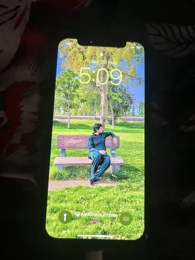 Apple iPhone X