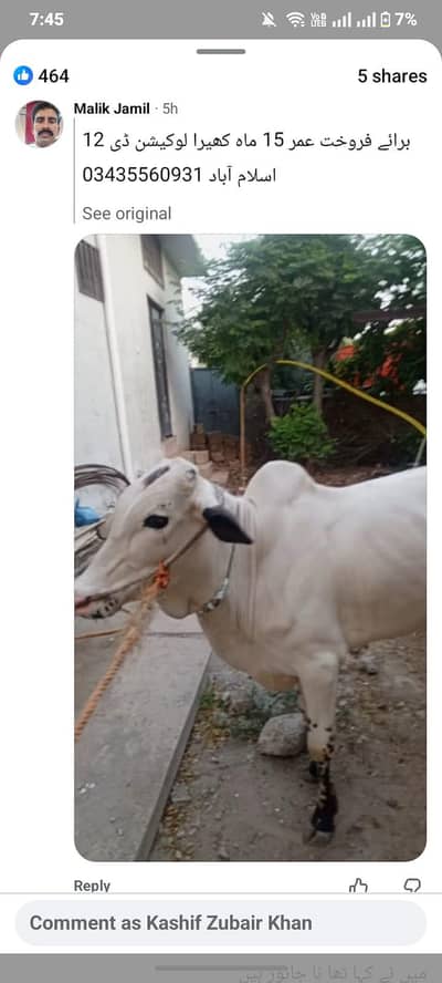 fathagangi wacha kheera with 370 black 160 achi nasal ka ha