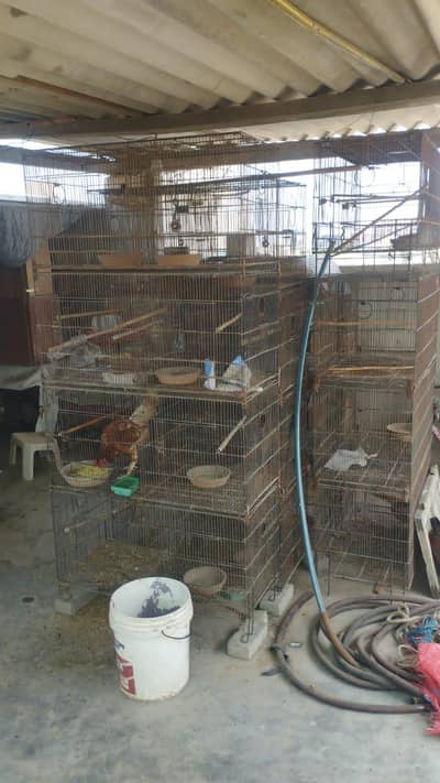 Bird Cages, Foldable portions