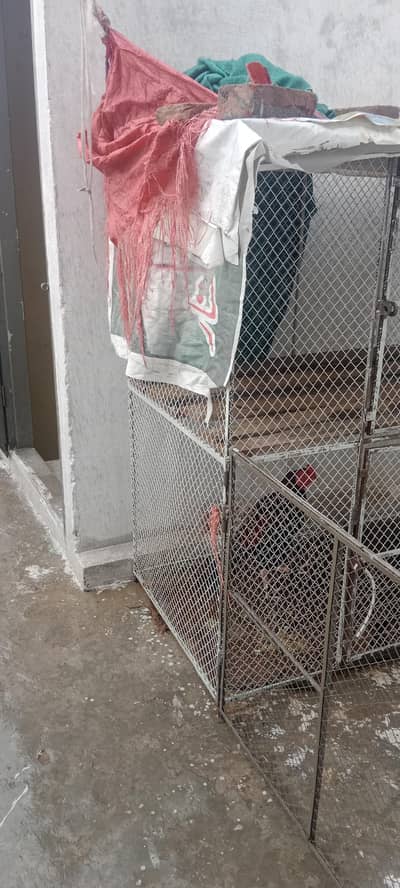 big cages