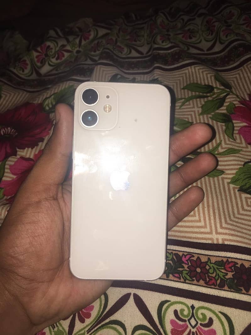 Apple iPhone 12 mini 1