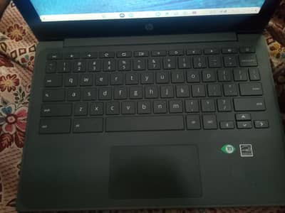 Hp Chromebook