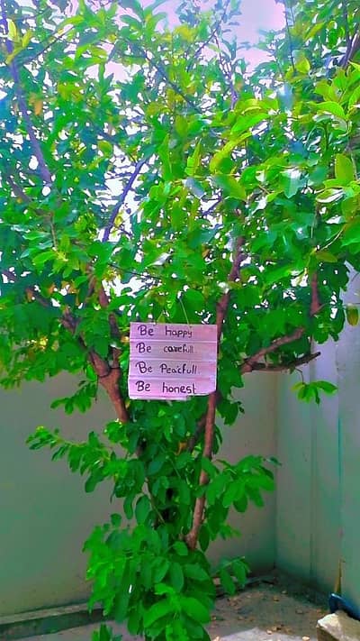 cars and tuning set + wall decorations
