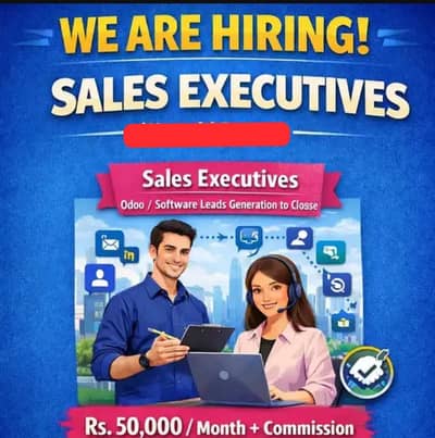 ERP Sales Executive
