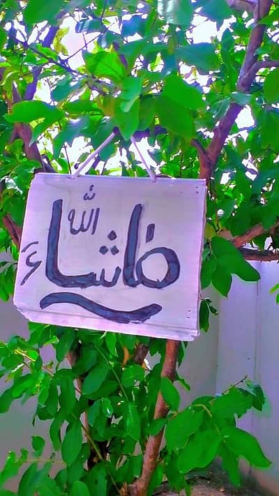 wall decoration