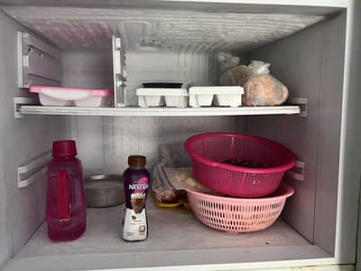 Pel fridge 10/10 condition all parts in working