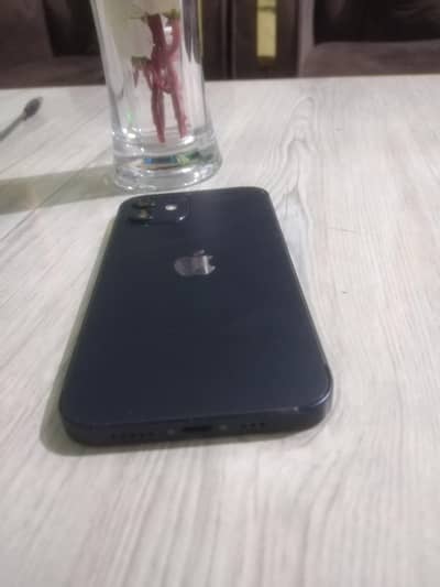 I phone 12 water pek