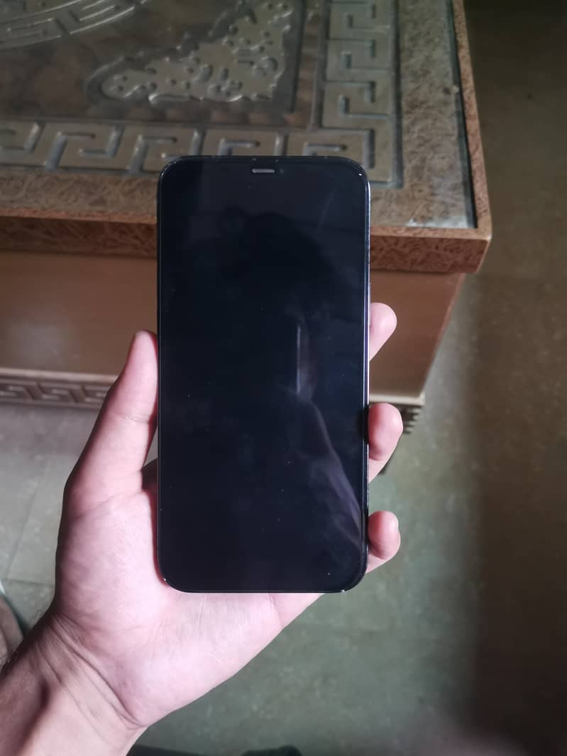 iPhone 12 Pro Max 1