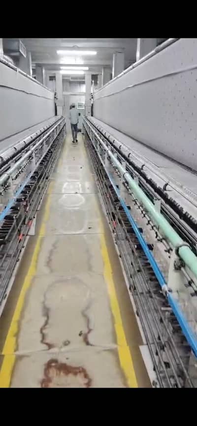 embroidery shfliy machines for sale