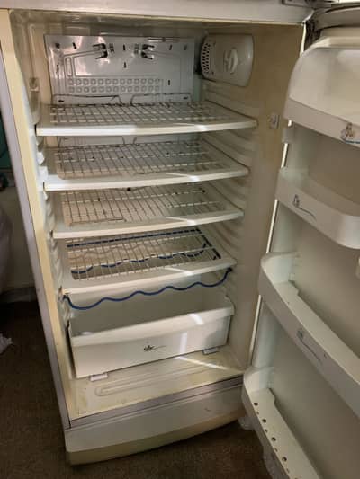 Pel fridge full size