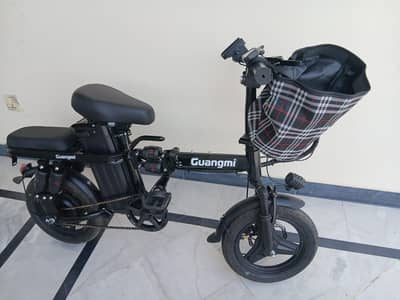 China imported electric foldable cycle