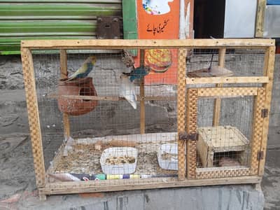 One Lovebird And 2 Australian Parrot  With Cage For Sale