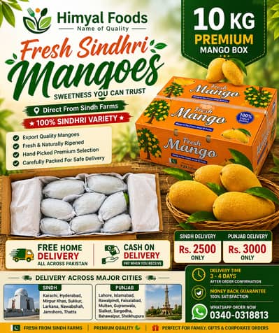  Farm Fresh Sindhri Mangoes | 10KG Premium Box | Cash on Delivery