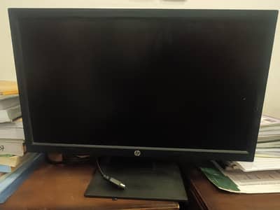 HP P204v monitor