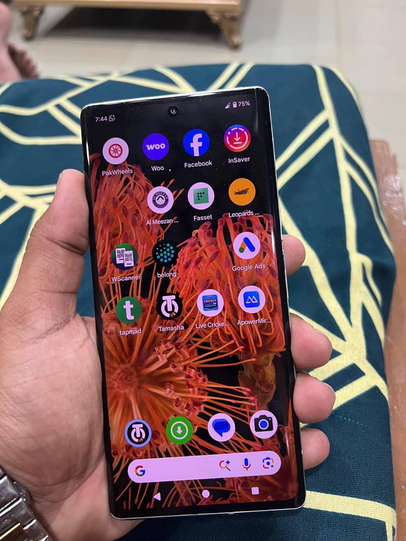 Google Pixel 6 Pro 1