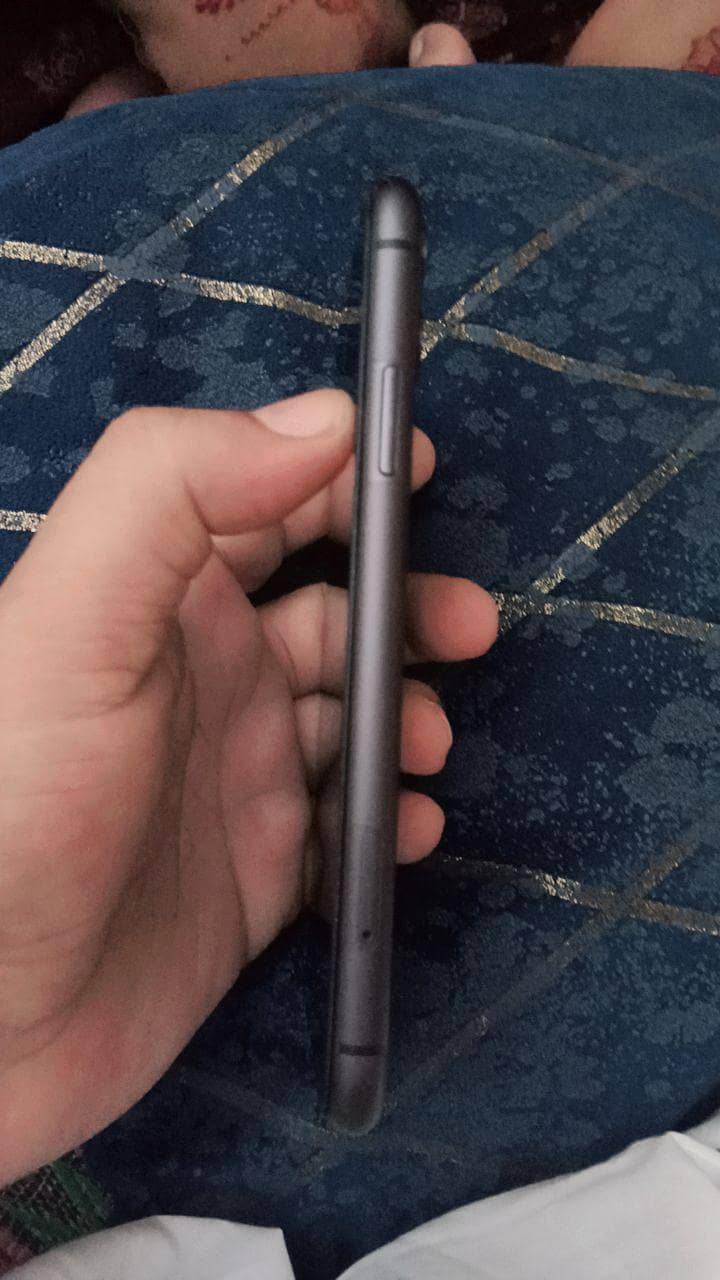 Apple iPhone 11 2