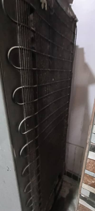 orient fridge