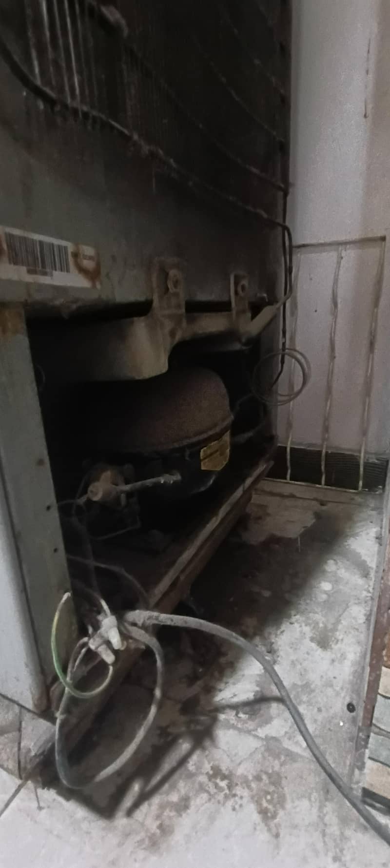orient fridge 3
