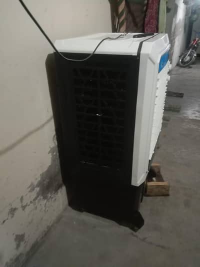 03002395214