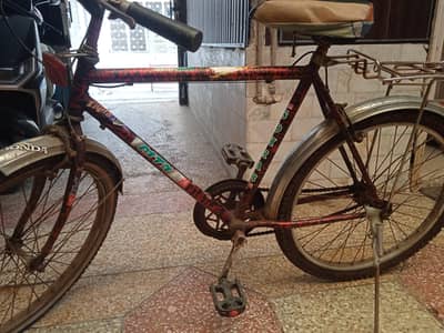 cycle origional sohrab mountain bike size 24. . . . steel body