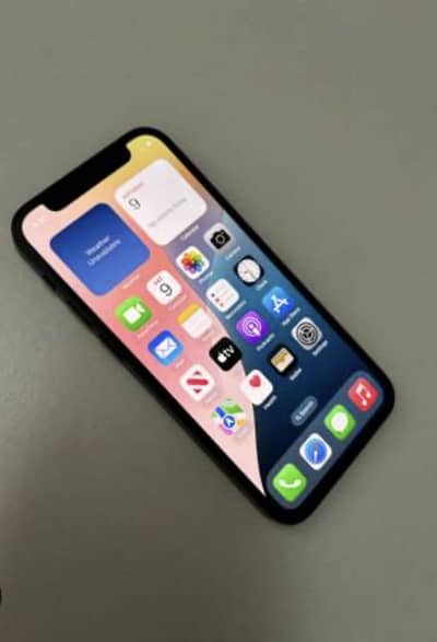 Apple iPhone 12 mini