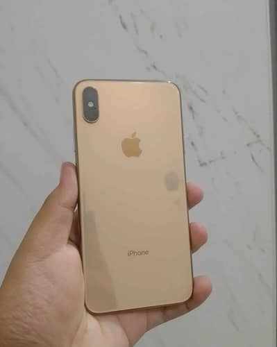 Xs max 256