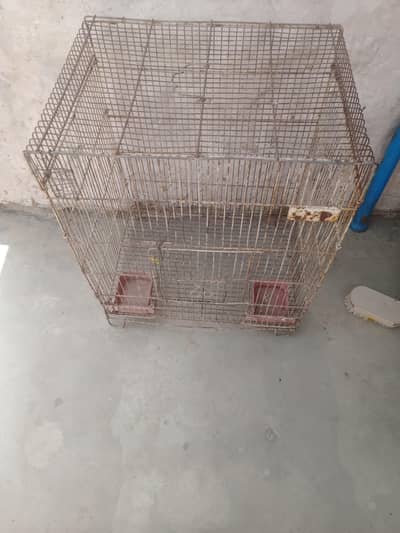 birds cage