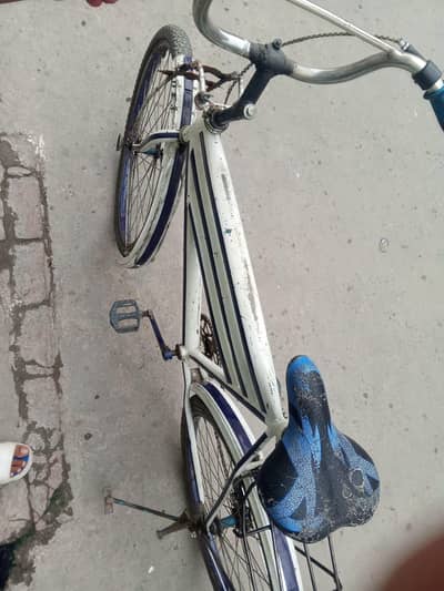 Cycle