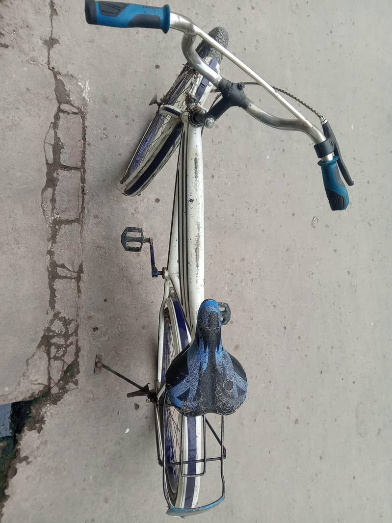 Cycle 4
