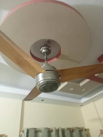 Royal Ceiling Fan Steel Fancy