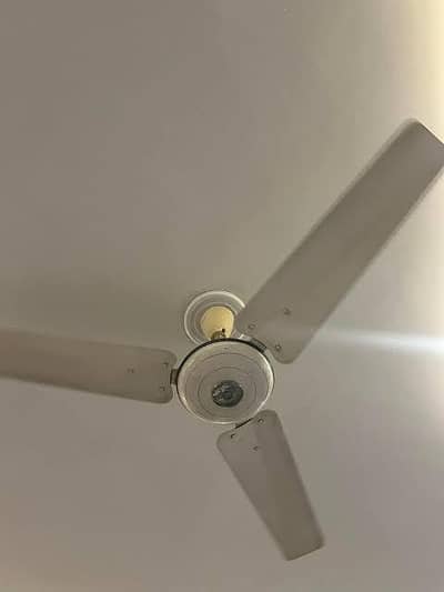 3 ceiling fan copper