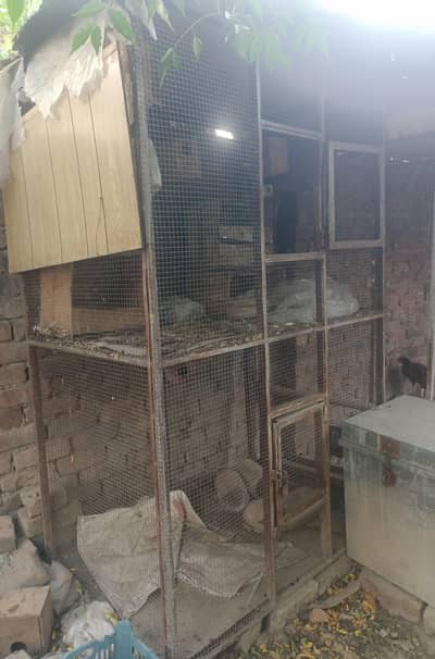Hen Cage 2 portion