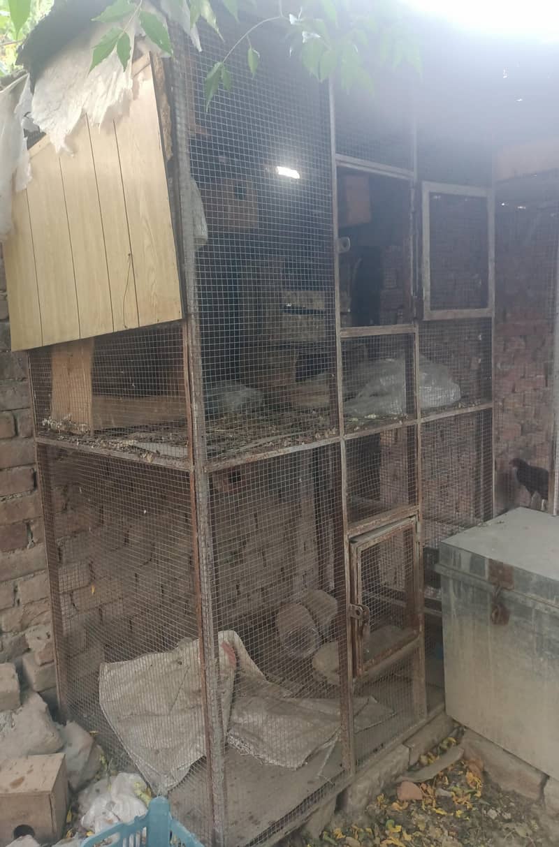 Hen Cage 2 portion 0