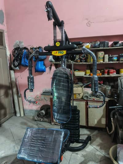 Home Gym/ Multi Gym/ Gym Equipment/ Biceps Curl