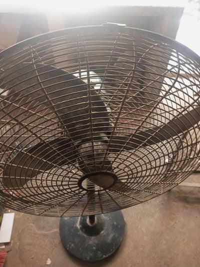 Pedestal Fan 24inch