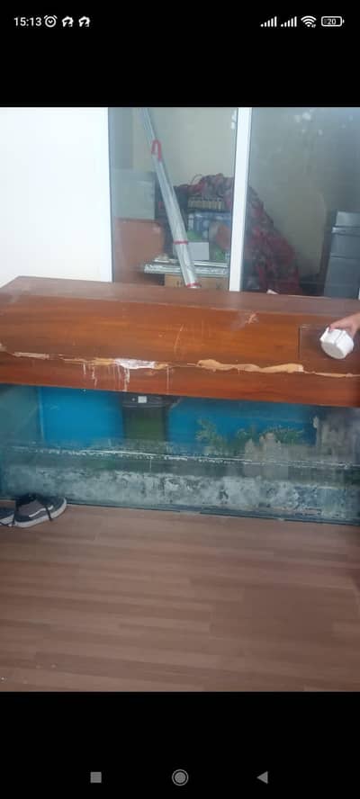 fish aquarium