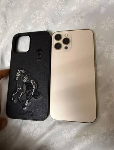 Apple iPhone 12 Pro Max