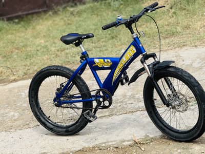 DELUXE BICYCLE FOR SALE
