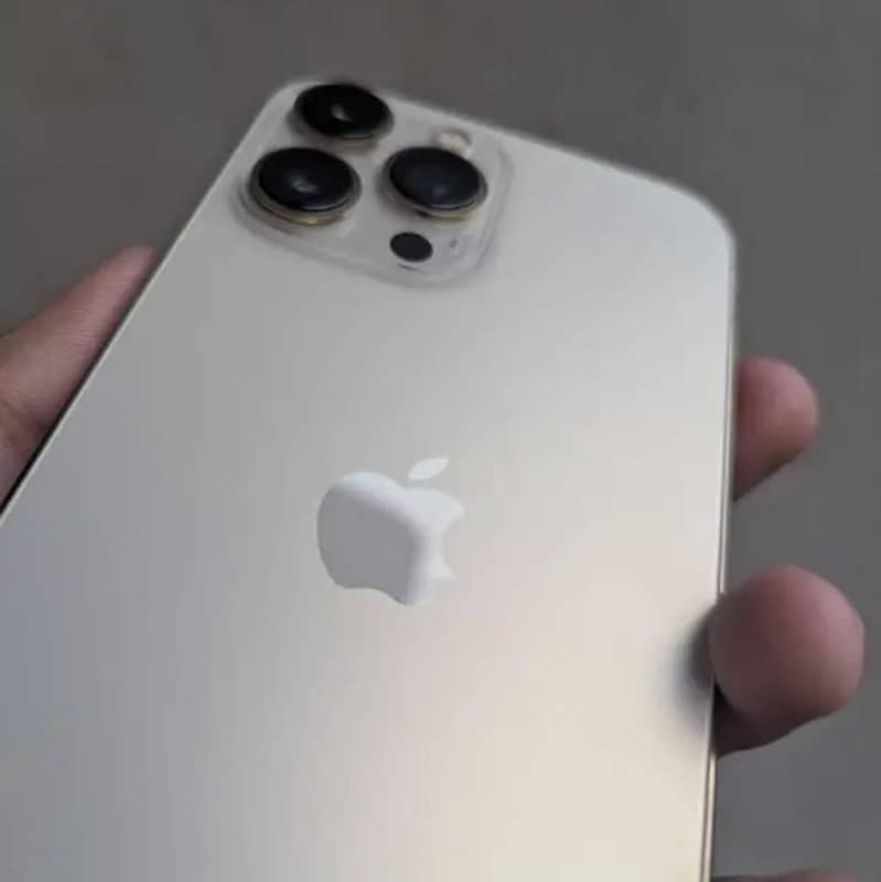 Apple iPhone 13 Pro Max 1