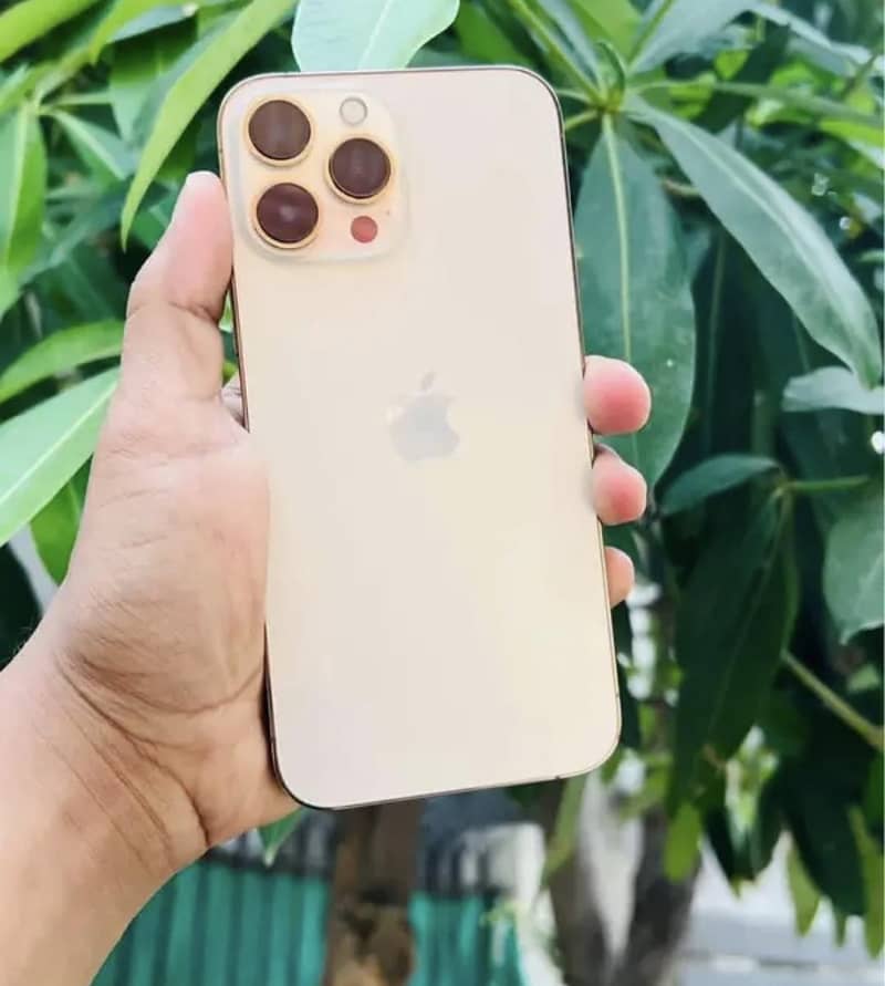Apple iPhone 13 Pro Max 2