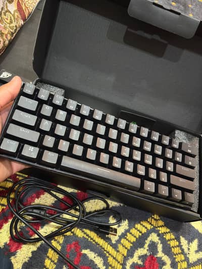 BLACK SHARK SIXGILL K4 60%
