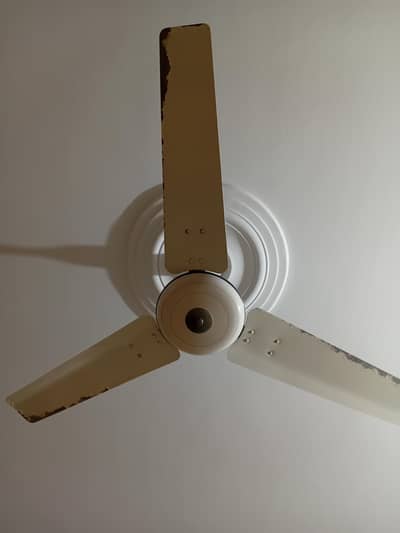 Fan for Sale