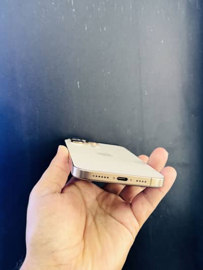 i phone 16 pro max