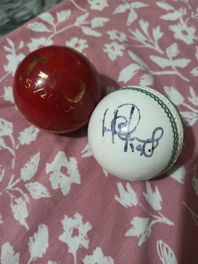 Cricket Hard Balls - Pack of 2